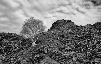 08 - Alone amongst the Slate.jpg