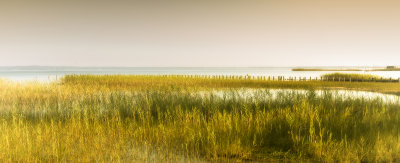 14 - La Rive - La Lac.jpg