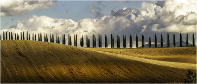 46 - Rolling Fields.jpg