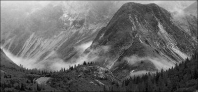 48 - Misty Dawn
