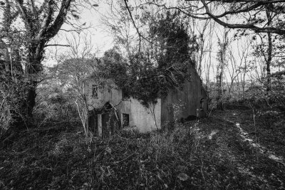 06 - Once a lovely home!