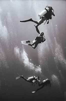 13 - Brief Encounters in the Deep