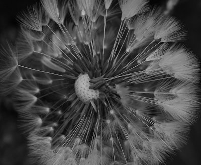 15 - Burst