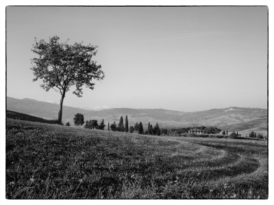 20 - tuscan landscape