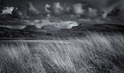 42 - Windswept