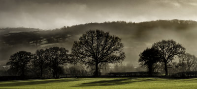 35 - Misty Morning
