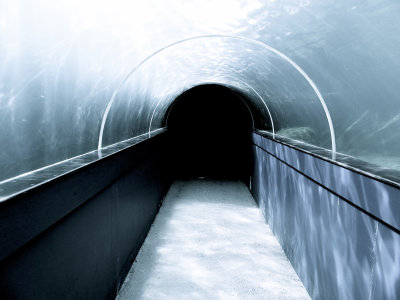 37 - Into the Abyss