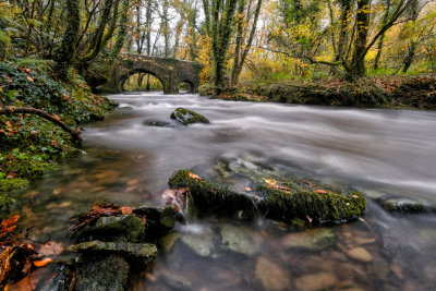45 - The Autumn stream