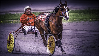 03 - Trotting No 37