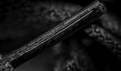 17 - Macro Shoe lace