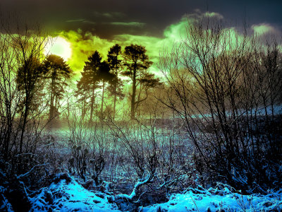32 - Winter