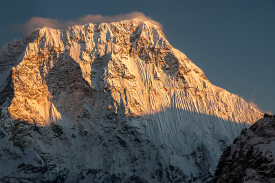 40 - Himalayan Giant