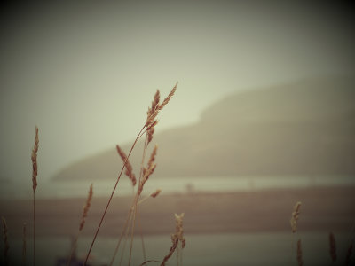 05 - Crops Of Autumn