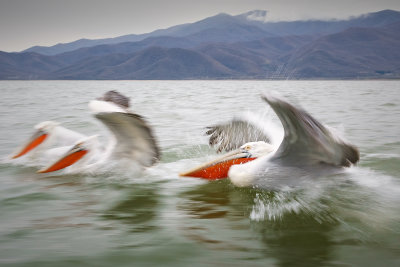 20 - splash-landing