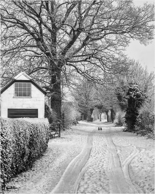 25 - A Winter Stroll