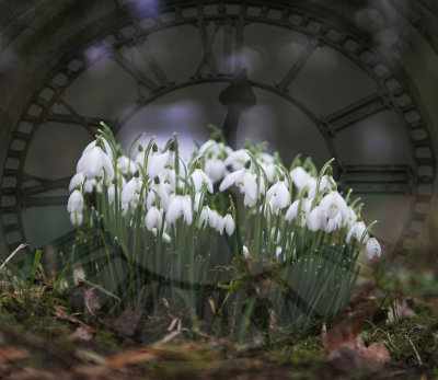 28 - Spring Time