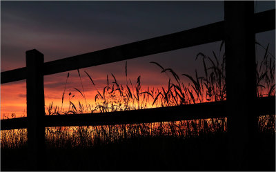41 - Blazing Sunset