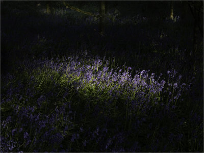 06 - Blue Bells