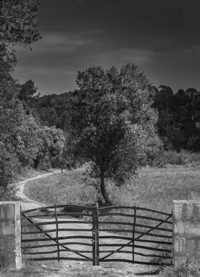 29 - There are so many gates to open