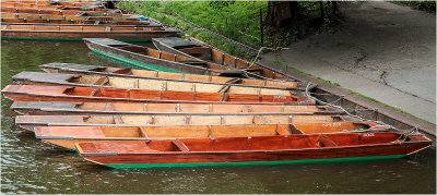 37 - Take a Punt