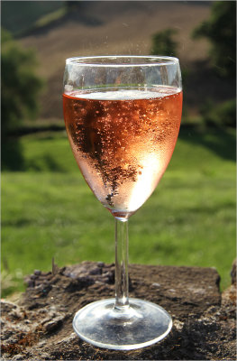 13 - Evening Tipple