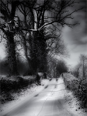 20 - A Winters Lane
