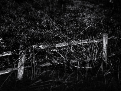 35 - No way Through