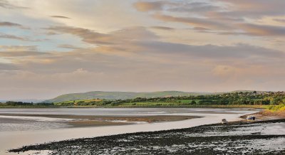 06 - June Evening - Loughor Estuary
