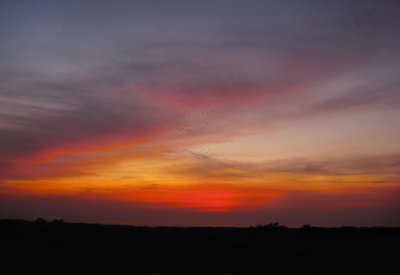 23 - Burry Port Sunset