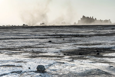 29 - Lake Abbe Djabuti