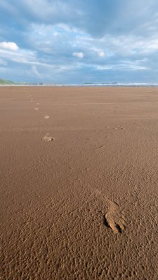 31 - Beach Run