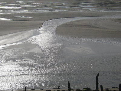 34 - Silver-Bird Water