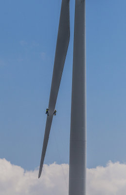 11. Hanging on-3.jpg