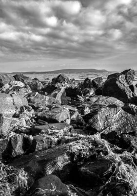 20. Rugged Shore.jpg