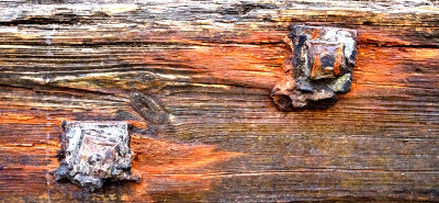29. Ancient Nails.jpg