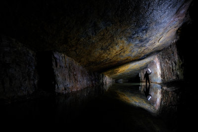 15. Exploring!.jpg