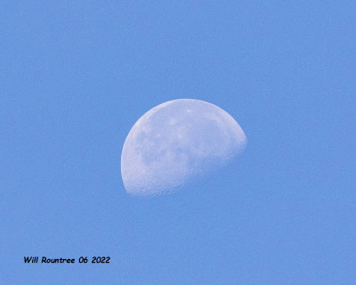 5F1A3536 Moon .jpg