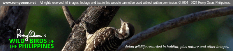 Masthead-010121.gif