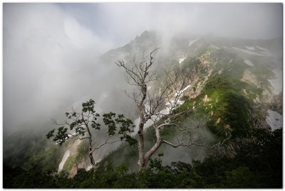 20190802_074755 -- Canon 6D2 + Canon 16-35 / 4L IS @ 16mm f/4 1/800 ISO 100