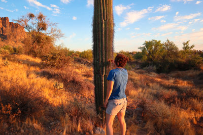 Tonto_National_Forest6.jpg