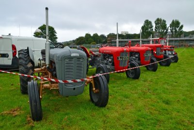 g12/41/561341/3/169630991.H1ukEEHZ.jpg