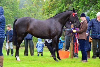 Bute Agricultural Show 2019
