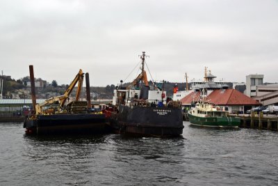 g12/41/561341/3/171455899.5VFtdA4X.jpg