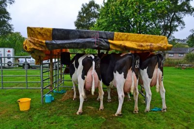Bute Agricultural Show 2021