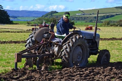 Bute Ploughing Match 2022