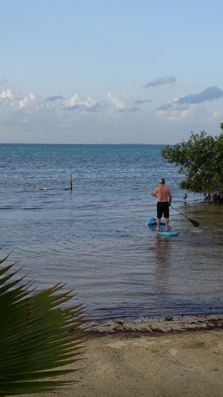 Eric Going out for a Paddleboard