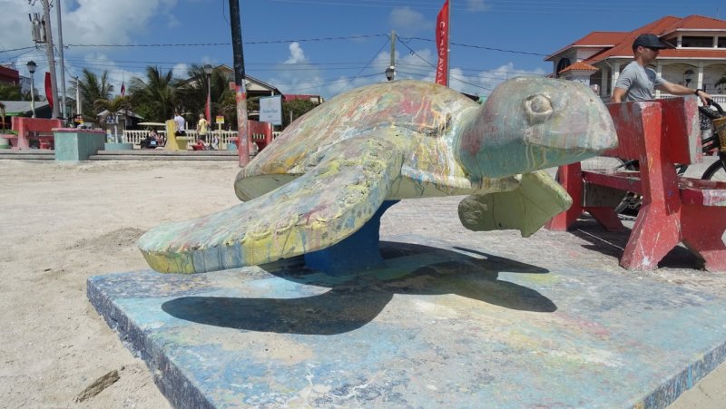 San Pedro Town Turtle Statue