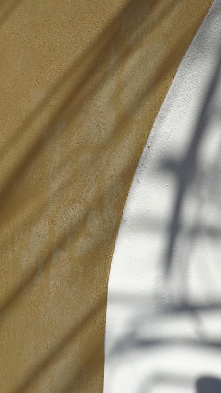 Villa Mandevilla Shadows