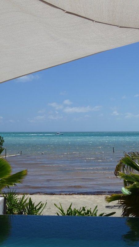 Villa Mandevilla View