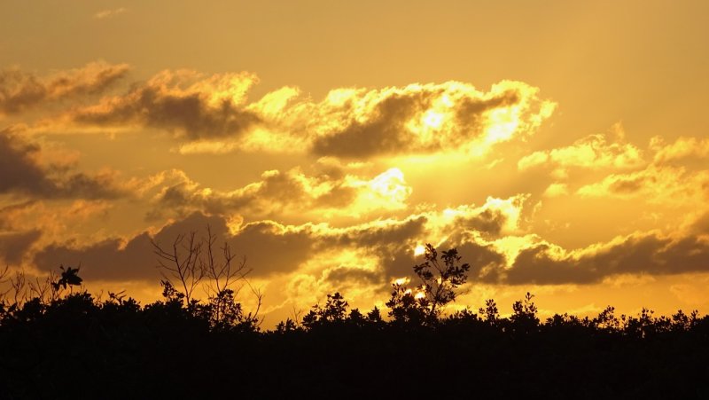 Villa Mandevilla Sunrise